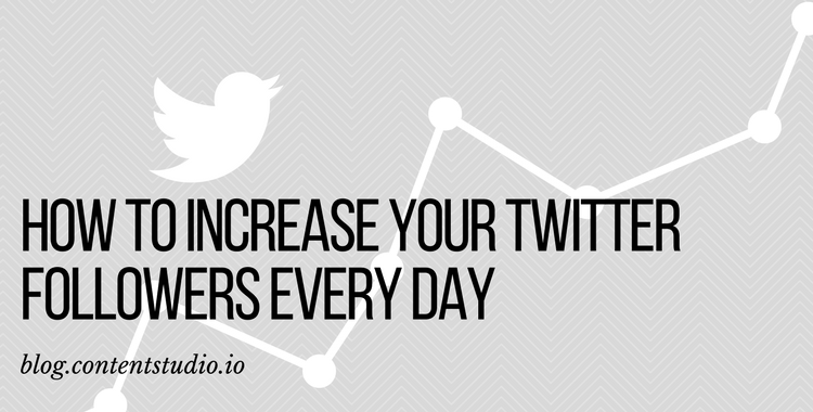 How to Increase Your Twitter Followers Every Day