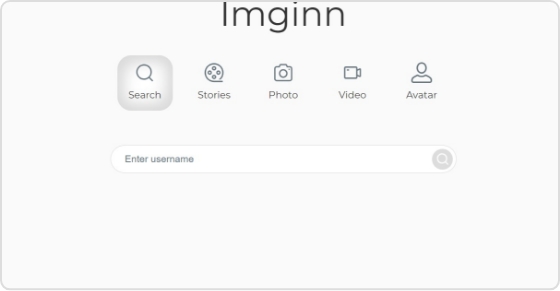visit-imginn-website