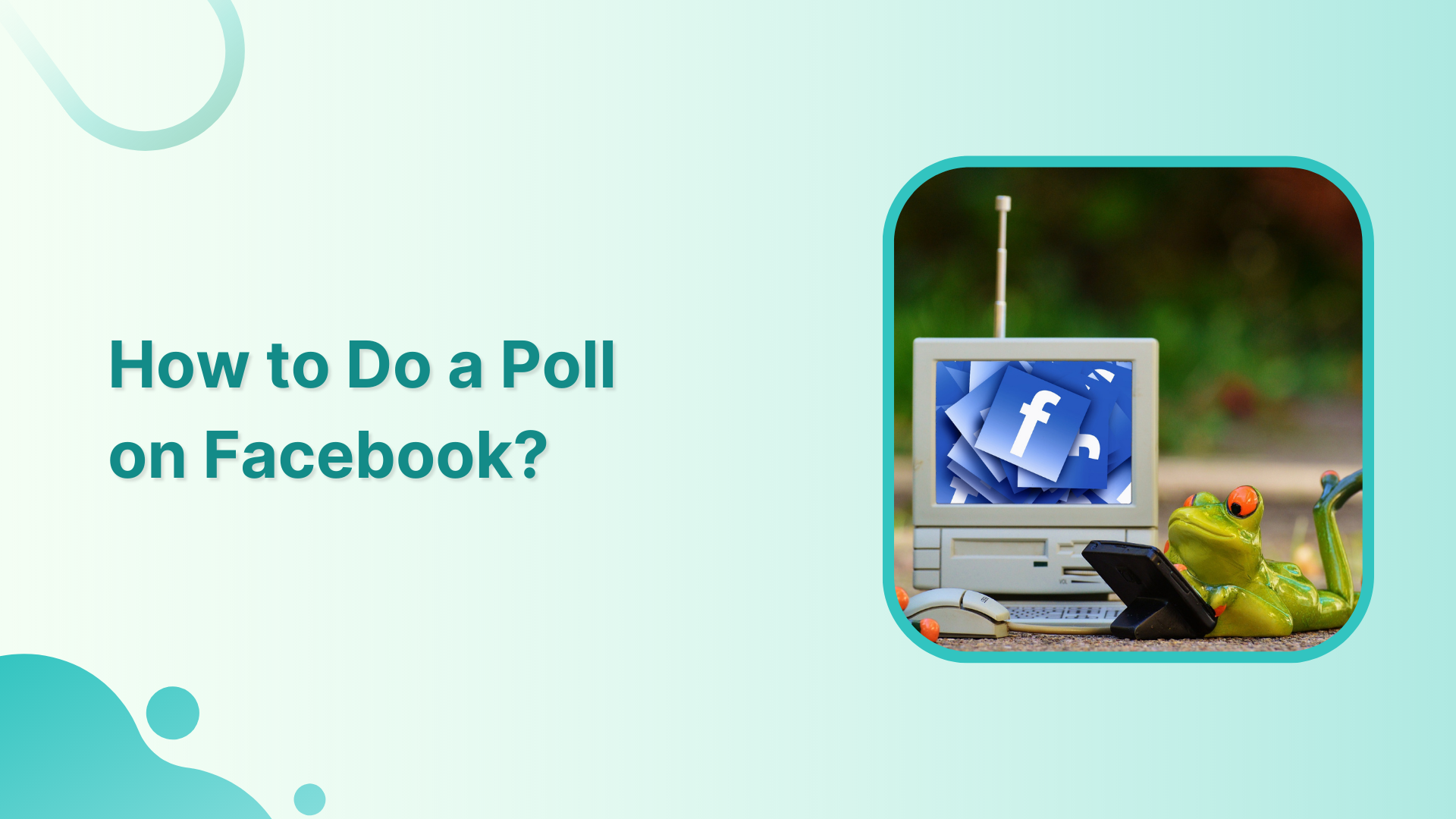 How to do poll on Facebook