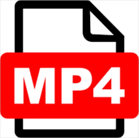 mp4 format