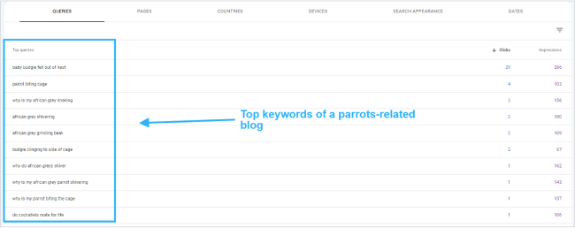 top keywords of a parrots-related blog