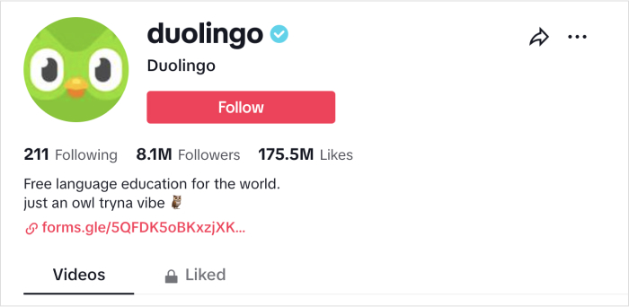 duolingo social media community