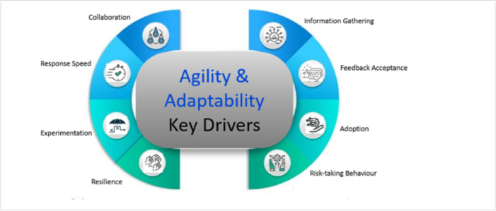 adaptability and learning agility