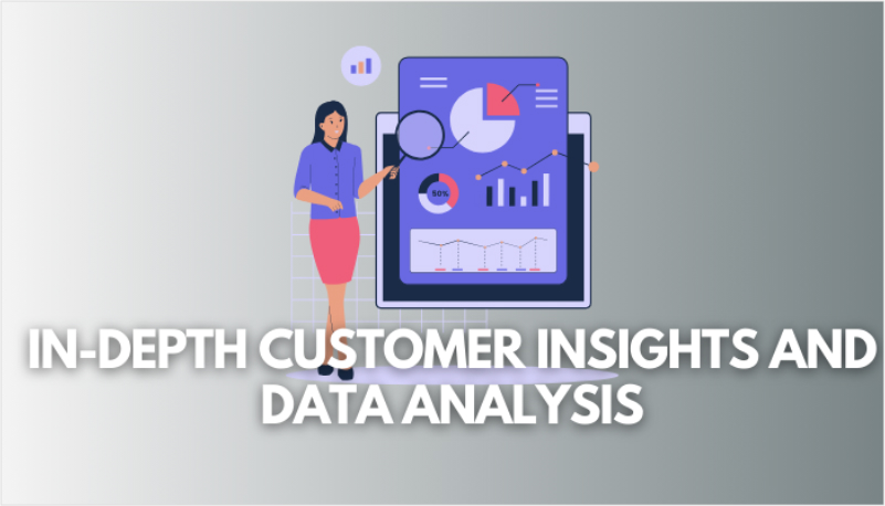 In-depth customer insights and data analysis